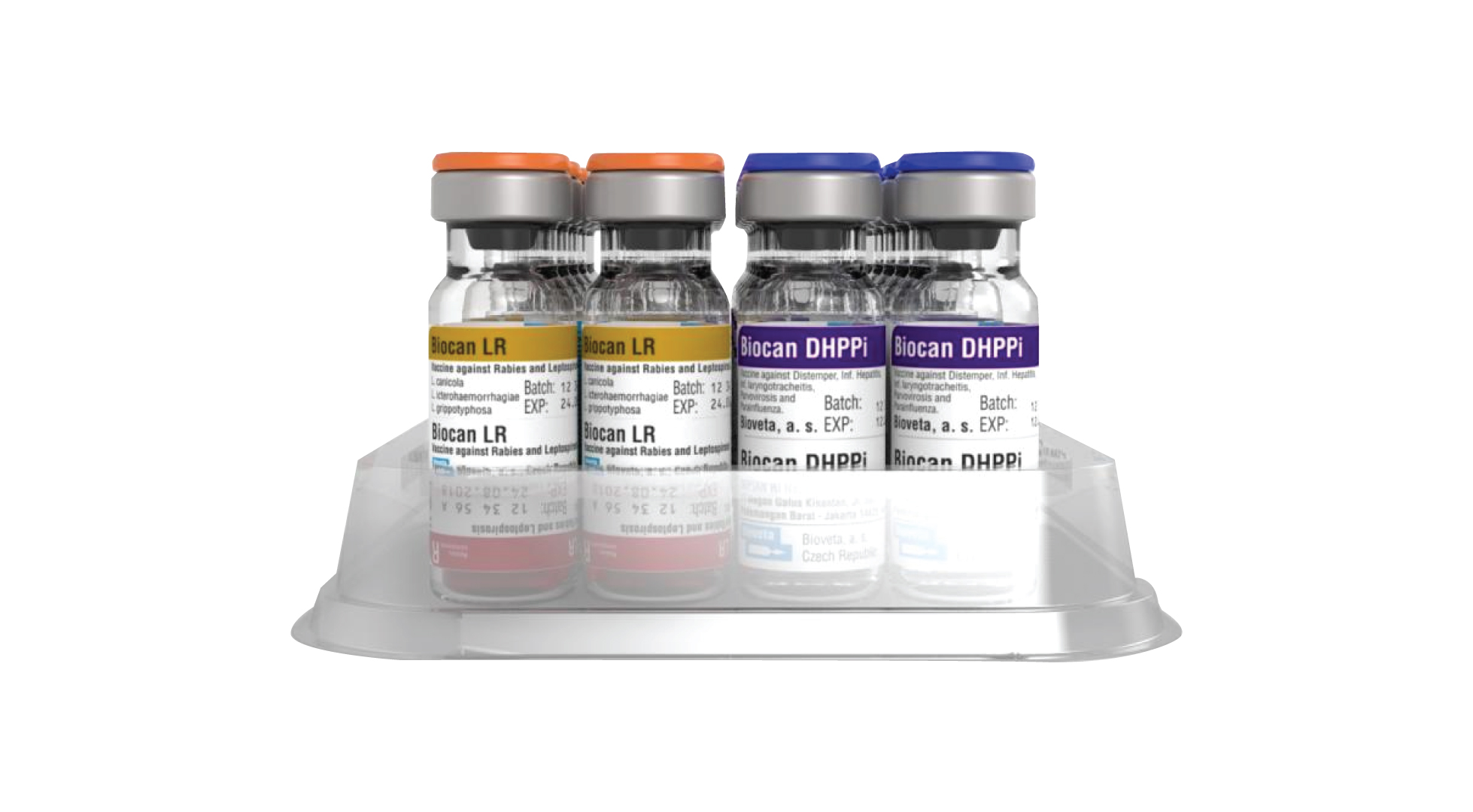 VACCINE BIOCAN DHPPI + LR