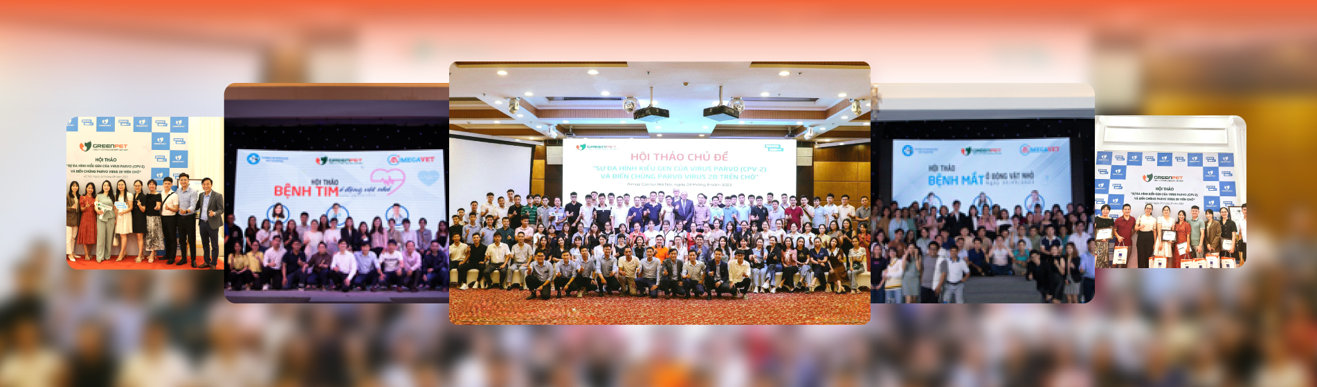 Thư viện hình ảnh