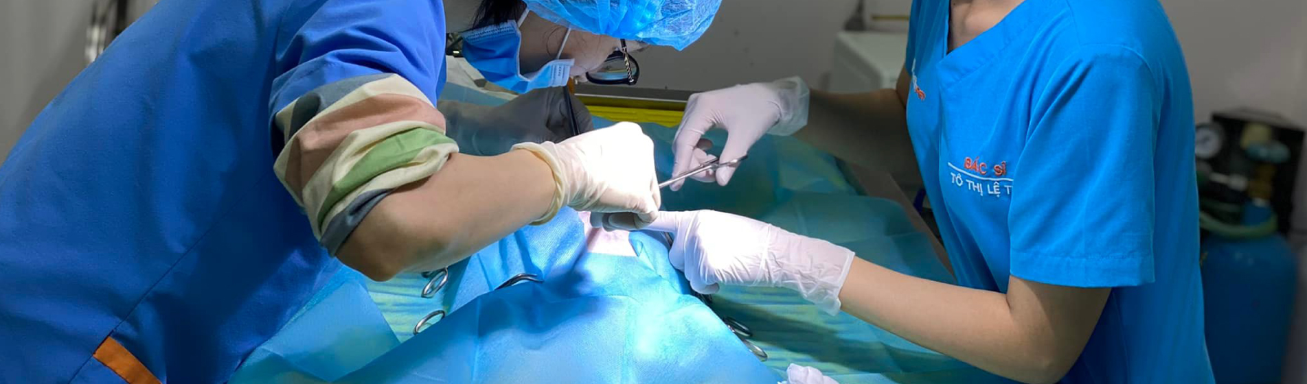 Kiến thức chuyên nghành