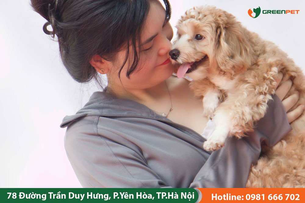 5 Phương Pháp Chăm Sóc & Dinh Dưỡng Tối Ưu Cho Sức Khỏe Thị Giác Vật Nuôi